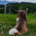 Na Skale Z Widokiem Na Panorame Karkonoszy בקתה