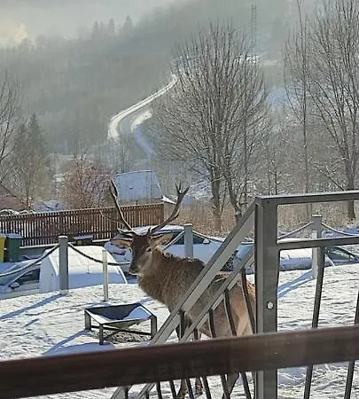Na Skale Z Widokiem Na Panorame Karkonoszy Шале Шклярська Поремба