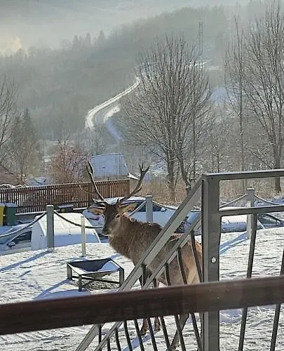 Na Skale Z Widokiem Na Panorame Karkonoszy Chalet Schreiberhau