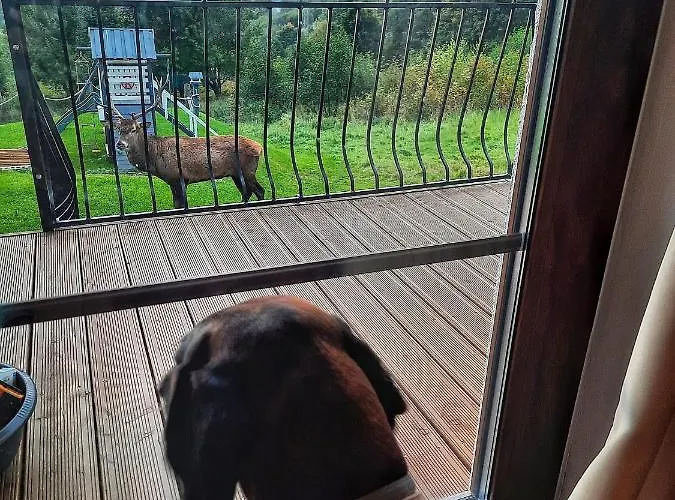 Chalet Na Skale Z Widokiem Na Panorame Karkonoszy Schreiberhau