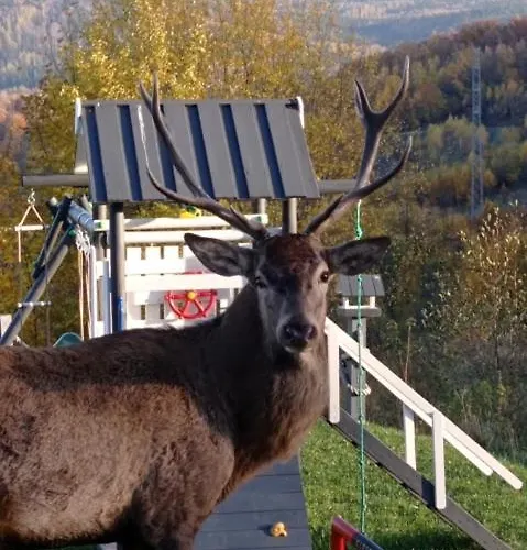 Na Skale Z Widokiem Na Panorame Karkonoszy Chalet Schreiberhau
