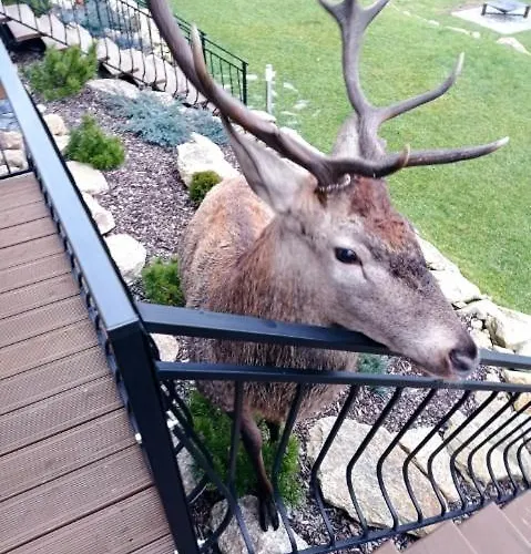 Na Skale Z Widokiem Na Panorame Karkonoszy Chalet *