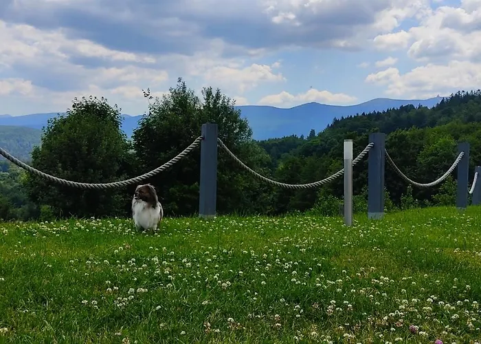 Na Skale Z Widokiem Na Panorame Karkonoszy Chalet *