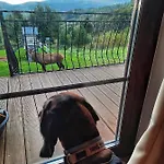 Chalet Na Skale Z Widokiem Na Panorame Karkonoszy Szklarska Poreba