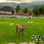 Chalet Na Skale Z Widokiem Na Panorame Karkonoszy *