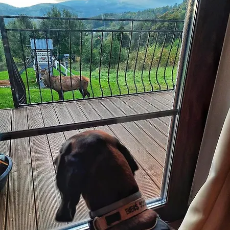 Alpehytte Na Skale Z Widokiem Na Panorame Karkonoszy Szklarska Poręba