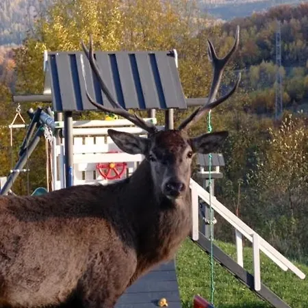 Na Skale Z Widokiem Na Panorame Karkonoszy Alpehytte Szklarska Poręba