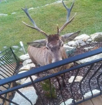 Na Skale Z Widokiem Na Panorame Karkonoszy שצ'קלארסקה פוראובה