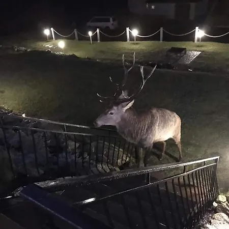Na Skale Z Widokiem Na Panorame Karkonoszy בקתה