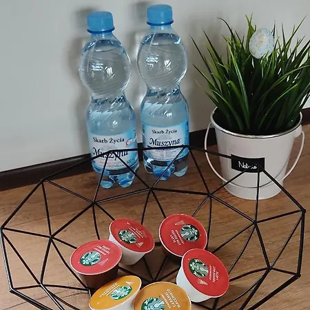 Na Skale Z Widokiem Na Panorame Karkonoszy Alpehytte *