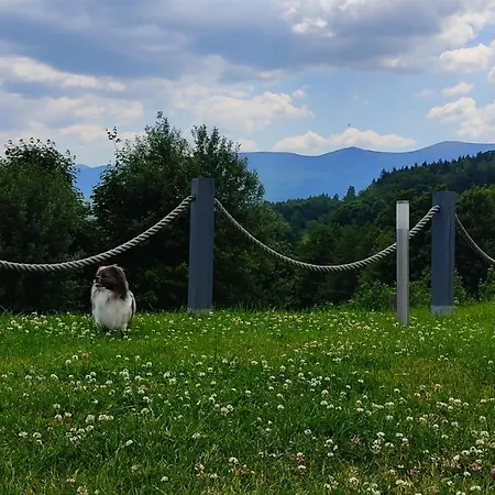 Na Skale Z Widokiem Na Panorame Karkonoszy Alpehytte *