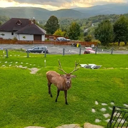 Alpehytte Na Skale Z Widokiem Na Panorame Karkonoszy *