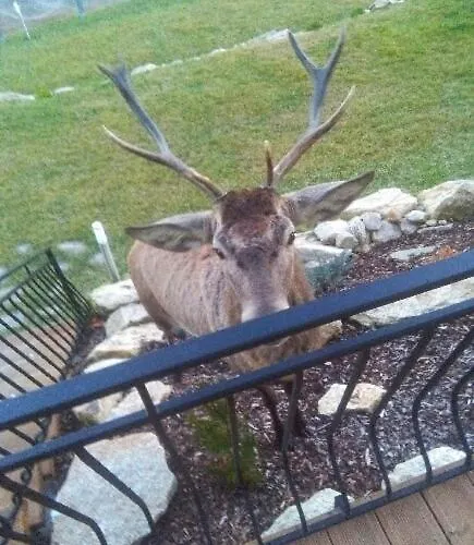 Na Skale Z Widokiem Na Panorame Karkonoszy 스클라르스카포렘바