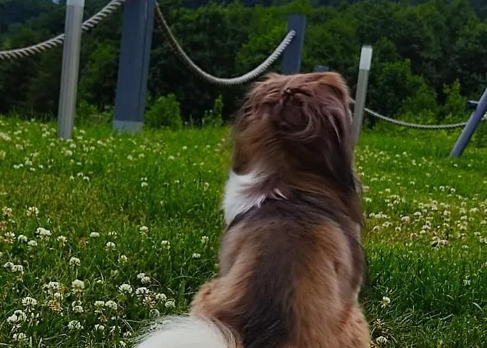 Na Skale Z Widokiem Na Panorame Karkonoszy 샬레