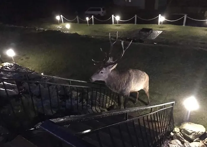 Na Skale Z Widokiem Na Panorame Karkonoszy 샬레
