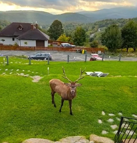 샬레 Na Skale Z Widokiem Na Panorame Karkonoszy *